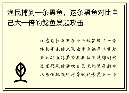 渔民捕到一条黑鱼，这条黑鱼对比自己大一倍的鲶鱼发起攻击